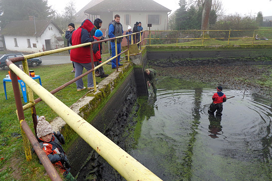 Výlov rybníčku u Kubů v Dožicích 2017
