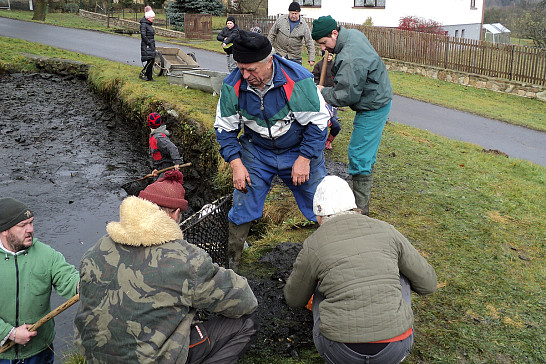 Výlov Budislavického rybníčku 26. 11. 2017