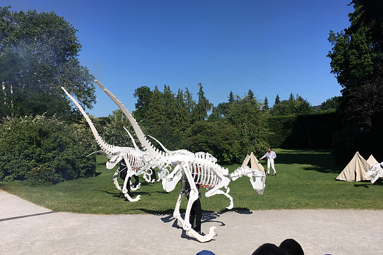 Výlet do Českého Krumlova 28.6.2019