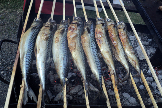 Rybí slavnosti v Budislavicích 3.8.2019