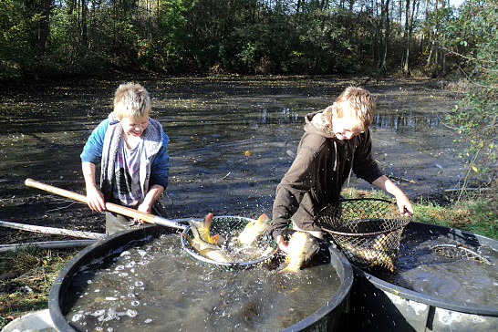 Výlov rybníčku Husárna a Loužek 27.10.2019