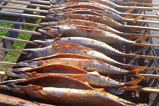 Rybí slavnosti v Budislavicích dne 8.8.2020