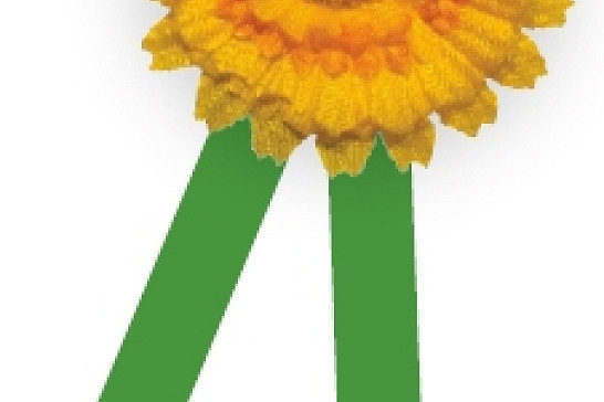 Poděkování obci Mladý Smolivec za spolupráci 30.11.2020