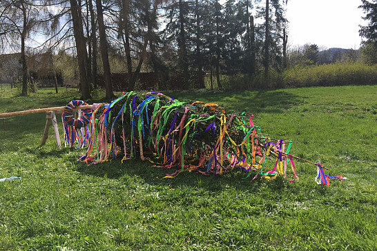 Paštika nebo strom?