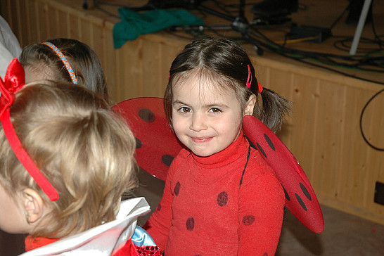 Maškarní bál v Dožicích