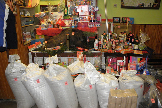 Hasičský bál v Radošicích